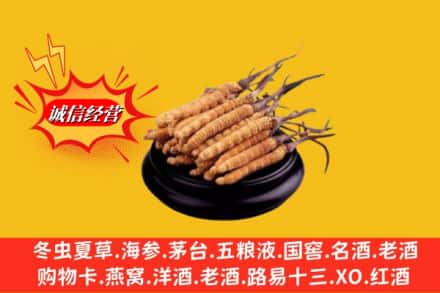 岚山区名酒回收冬虫夏草.jpg